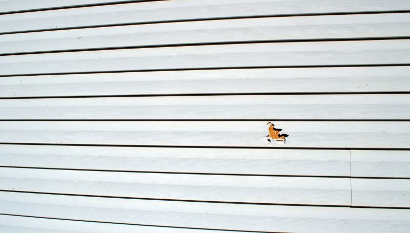 Professional Vinyl Siding Technician